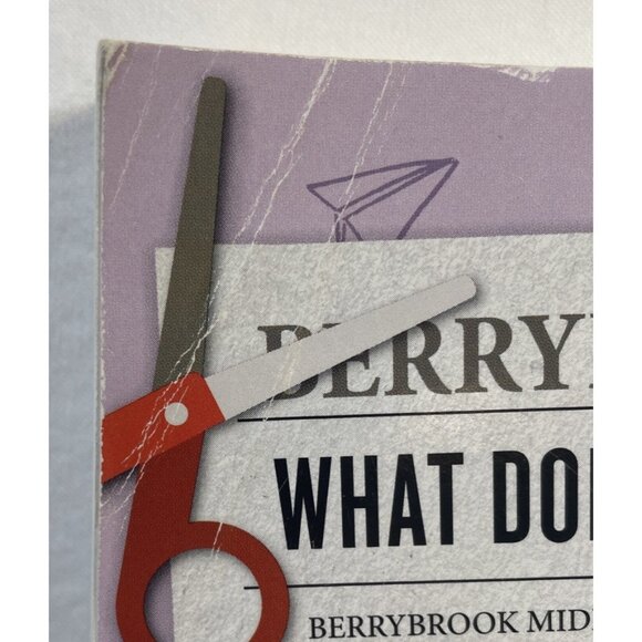 Awkward & Brave - Books 1 & 2 of Series - Svetlana Chmakova - Young Adult! - Picture 4 of 5